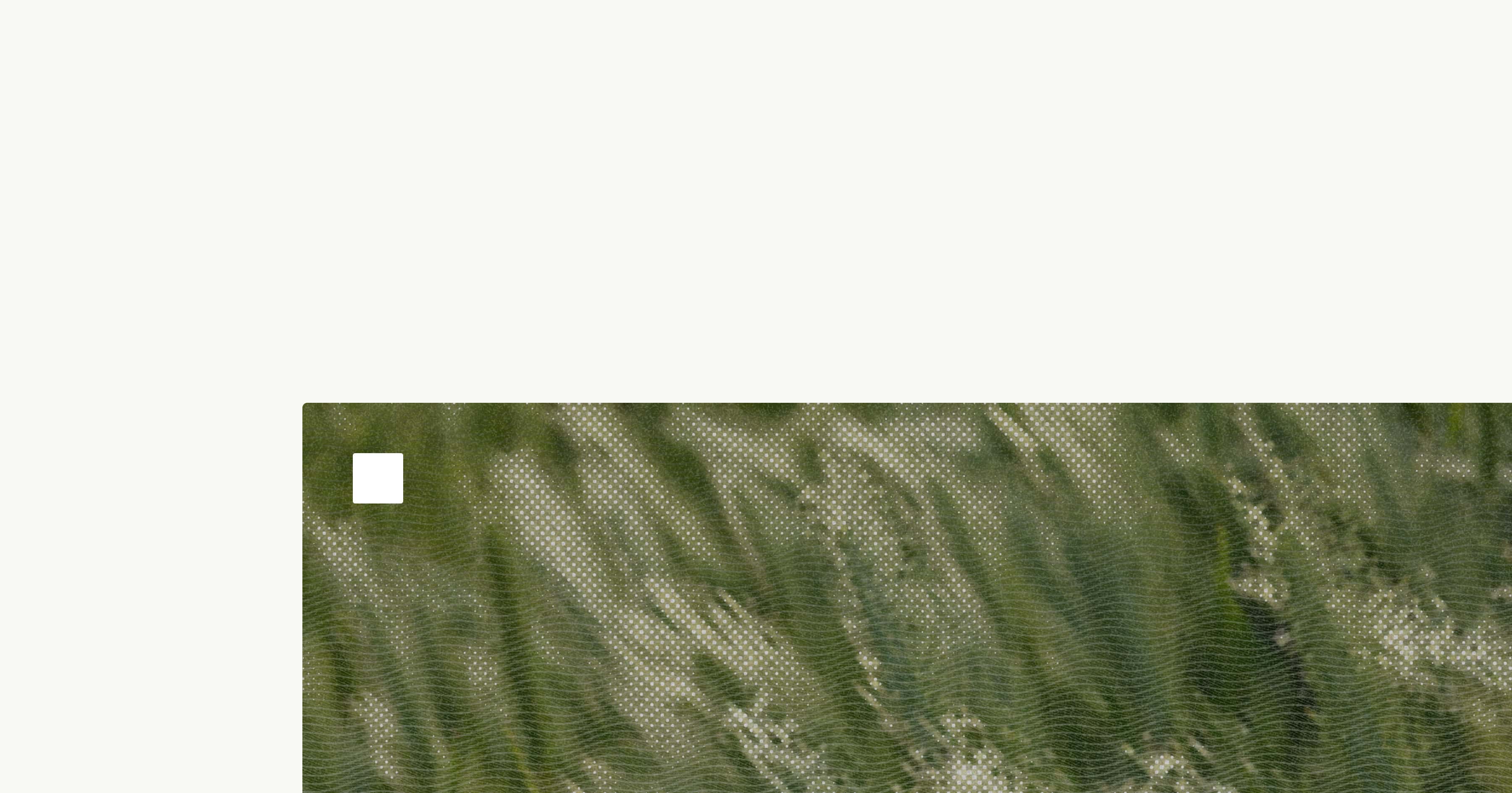 Natural brand manifesto